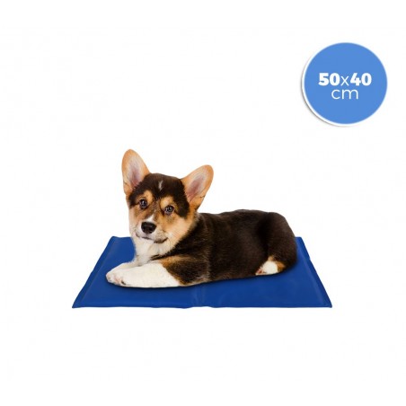 Tappetino refrigerante 37102 per cani di taglia piccola con gel rinfrescante  Tappetino refrigerante 37102 per cani di taglia piccola con gel rinfrescante