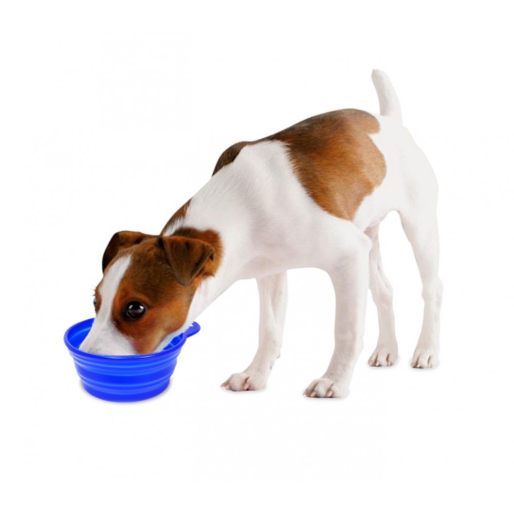 Ciotola da viaggio pieghevole in silicone 055564 per cibo e acqua in due colori