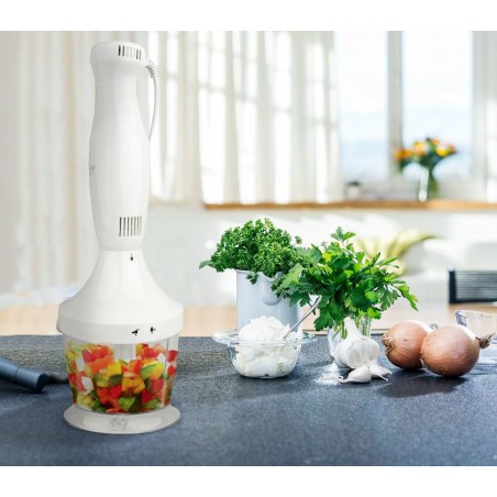 Multirobot frullatore 754792 CAPRICCIO con 4 funzioni bicchiere da 500ml incluso