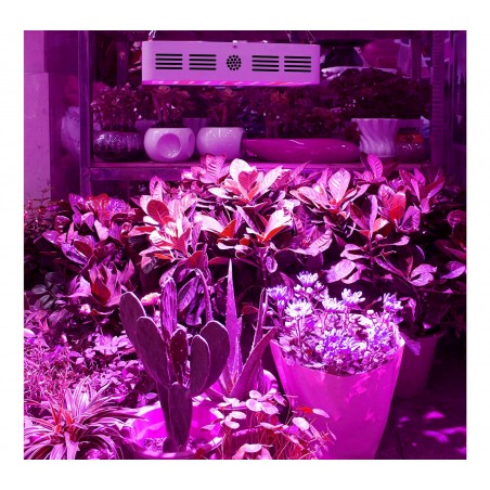 Faretto a led coltivazione piante indoor 4372 per piante fiori e frutta 600W