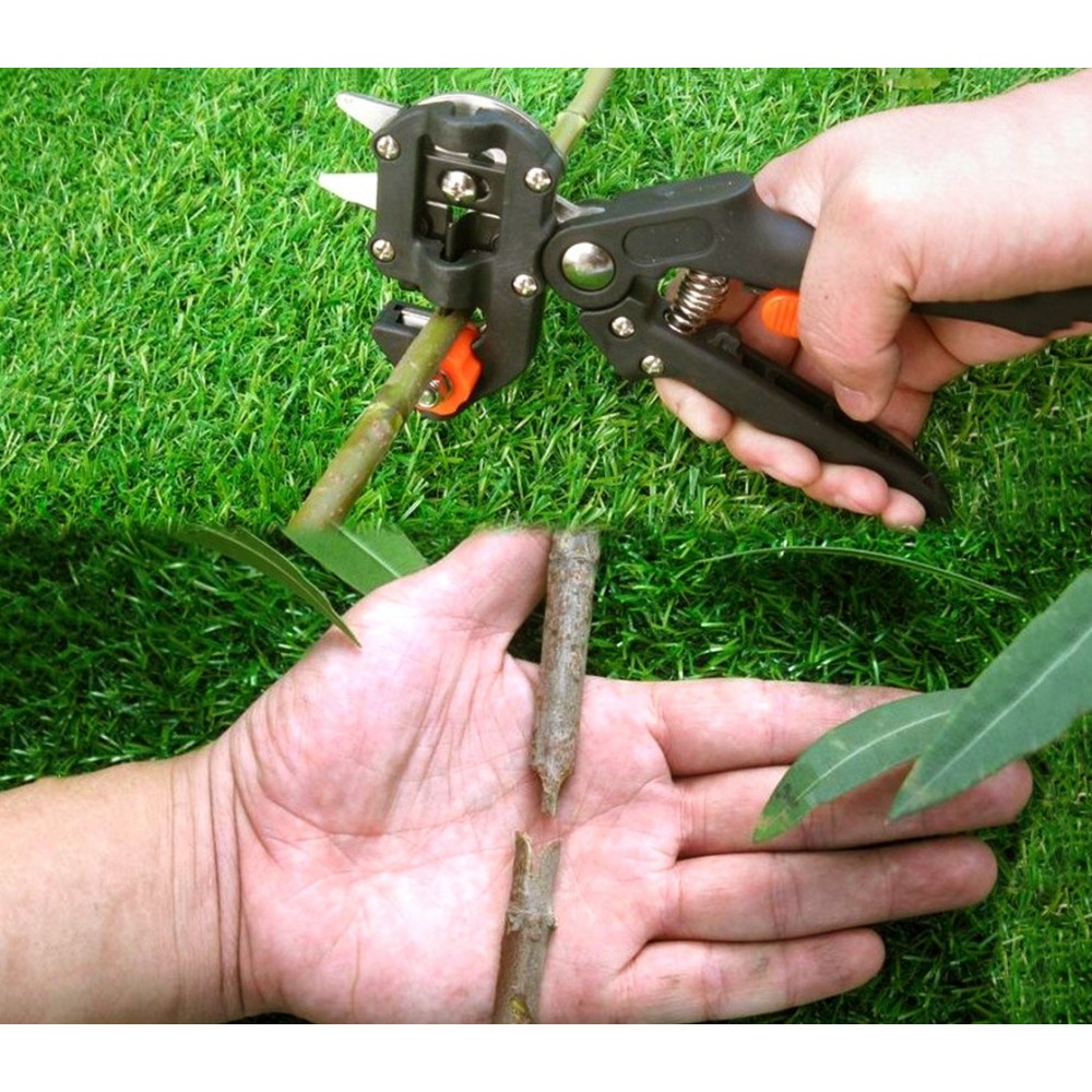 Pinza tronchese innestatrice 4490 manuale per innesti di giardinaggio con 3 lame