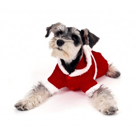  Vestito da BABBO NATALE 107443 con cappuccio ideale per cani di piccola