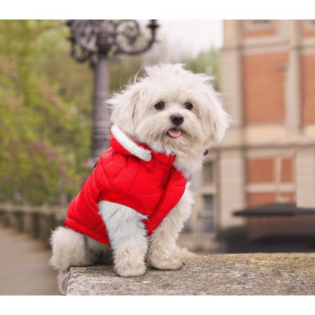 Giubbotto per cani 243448 NATALIZIO con cappuccio per cani di piccola taglia