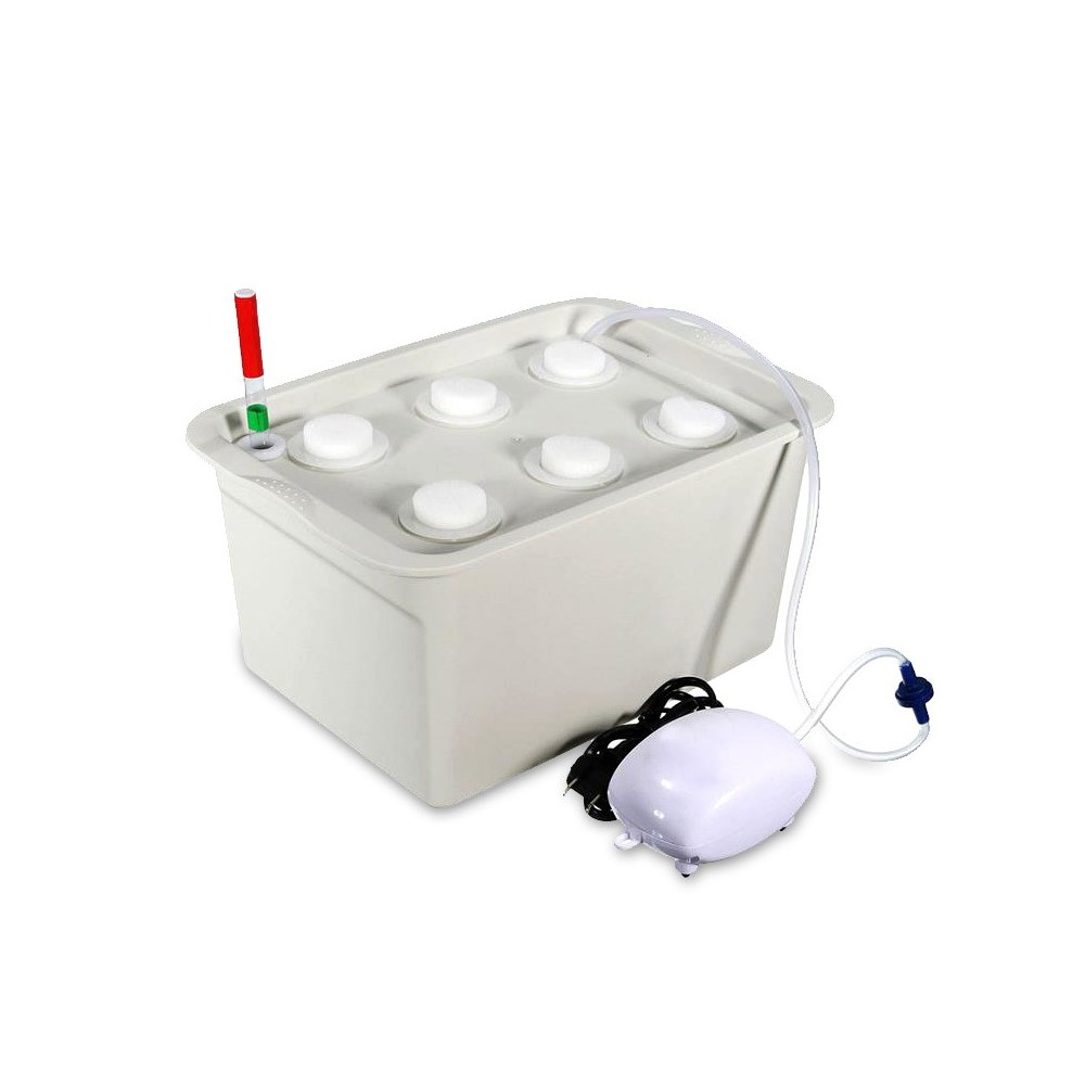 Kit per coltivazione IDROPONICA 4496 con box a 6 fori 41.3 x 27.6 cm