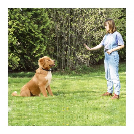 Collare per addestramento dei cani 4565 vari colori display luminoso