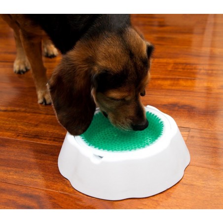 Ciotola auto rinfrescante Fresh Bowl 147516 mantiene l'acqua fresca per 8 ore