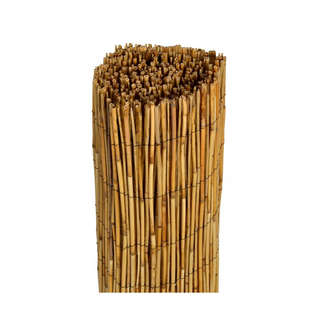 049101 Arella bamboo resistente alle intemperie e paravento 100 x 300 cm