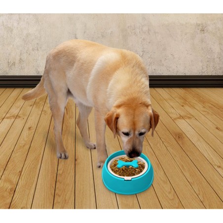 060377 Ciotola per cani gatti anti-soffocamento e migliore digestione Grande 