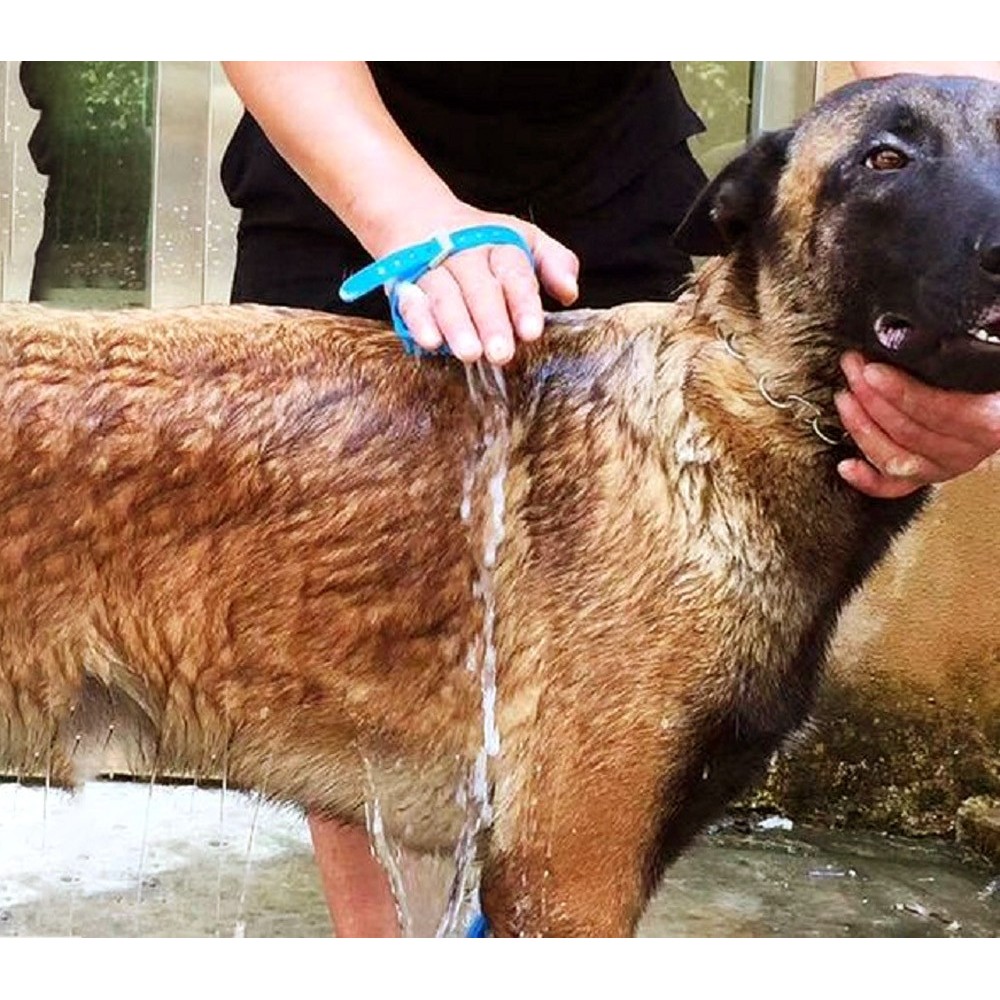 Sistema per lavaggio cani Pet Scrub con spugnetta e pompa 255470