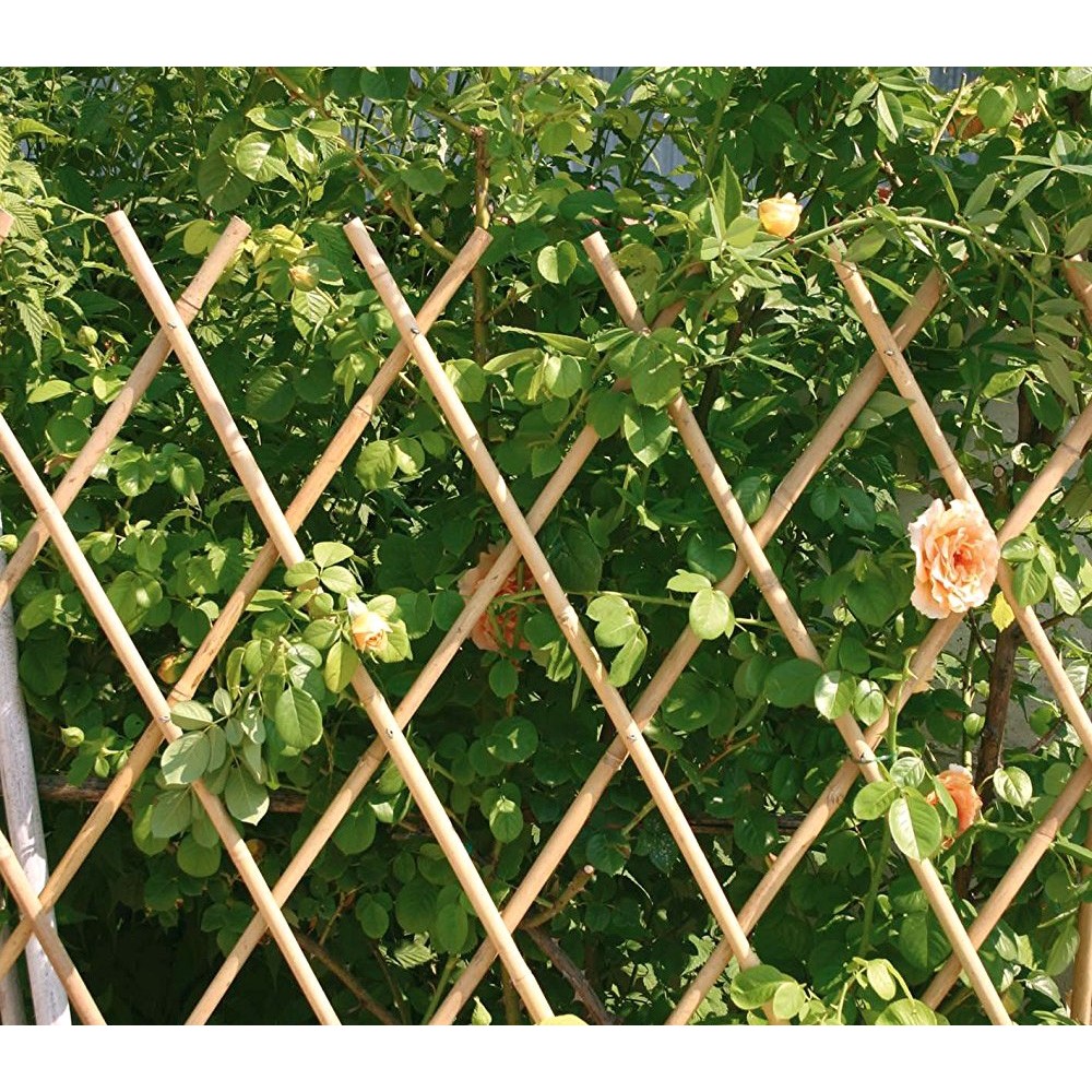 MEDIAWAVE Store Steccato estensibile in bamboo 377512 giardino recinzione 60x240 cm