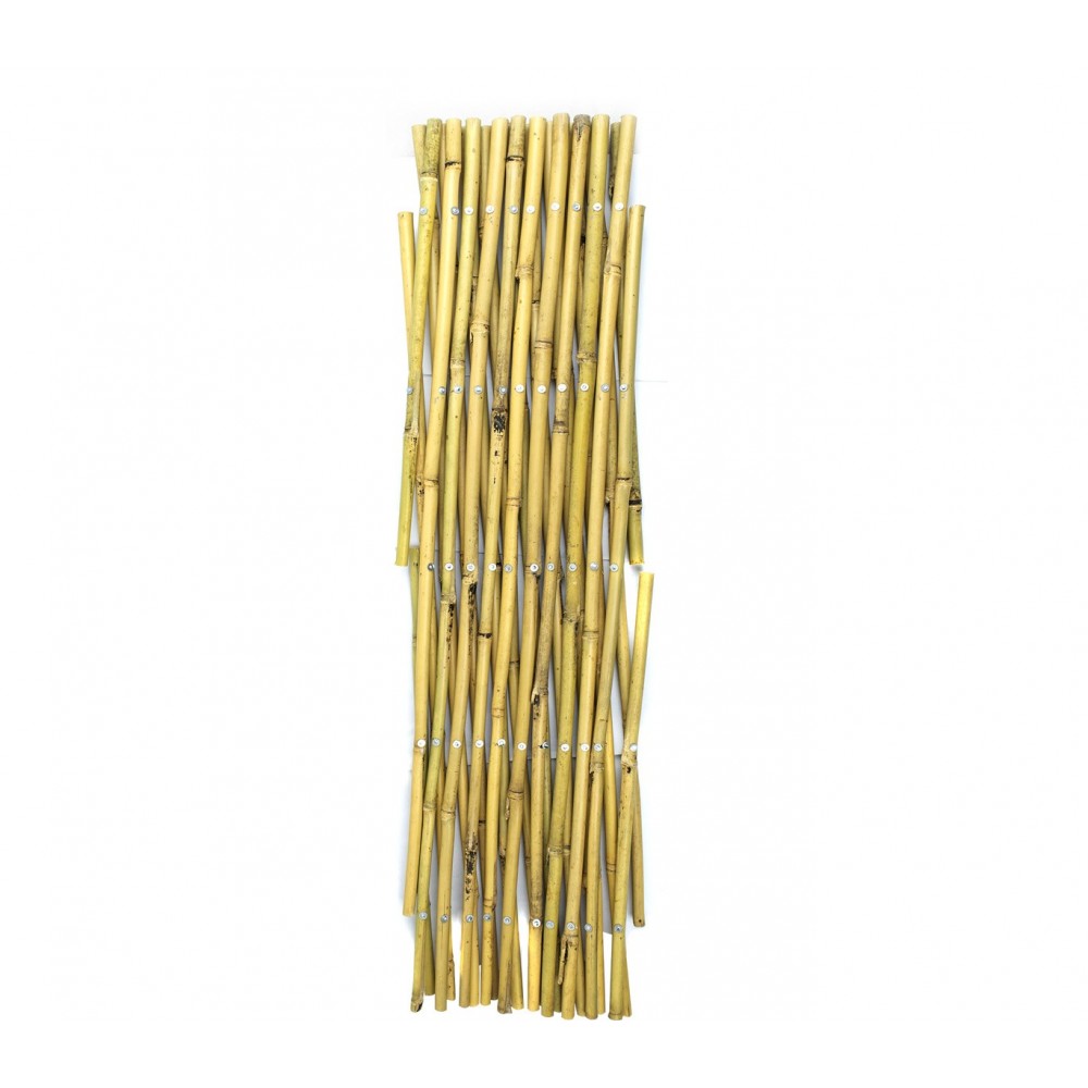 Steccato in bamboo 377512 giardino recinzione arredamento  60x240 cm