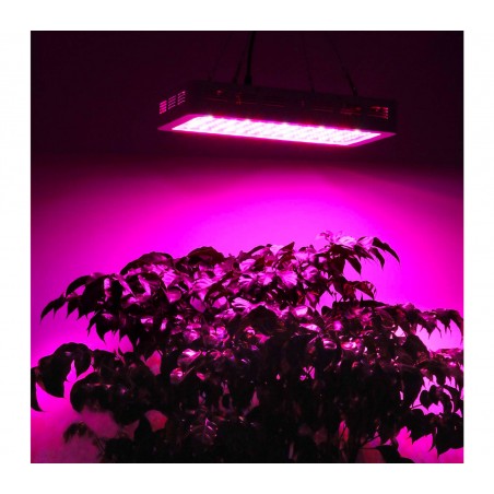 Lampada a led 2000W coltivazione indoor 4373 per serra 200 led da 10 W e gancio