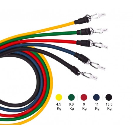 Set da allenamento e riabilitazione con fasce elastiche e cinghie 5 livelli