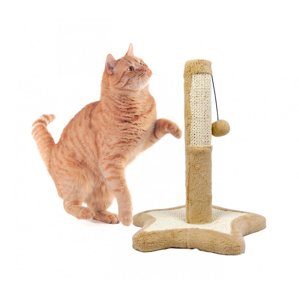 Tiragraffi Nobleza STELLA con base in legno e pallina da gioco 33x33x38cm 029730