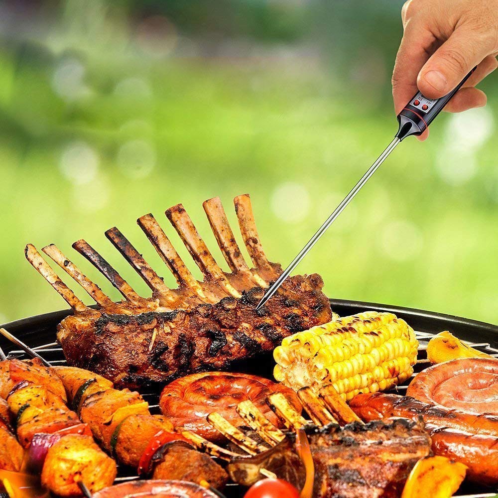 ALPINA Termometro per Carne arrosto in Acciaio Inox 