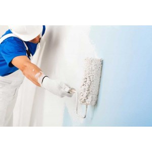 Rullo per Tinteggiare con manico Kinzo 225821 multi superficie 25x8cm antigoccia 2