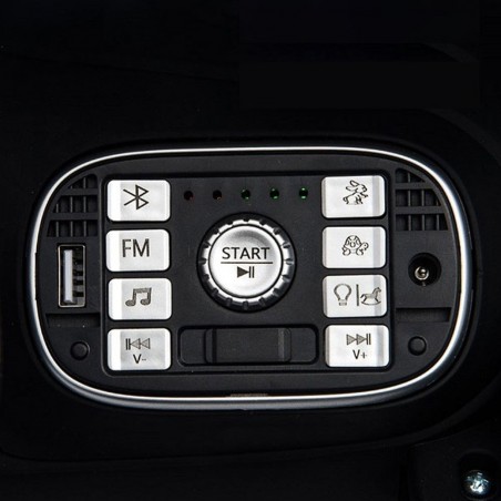 Auto elettrica LT893 per bambini 2 posti VOLKSWAGEN The Beetle 12V telecomando