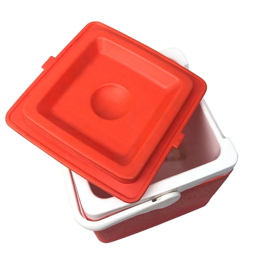 CHILLEX 265215 Frigo portatile 6.5 lt plastica...