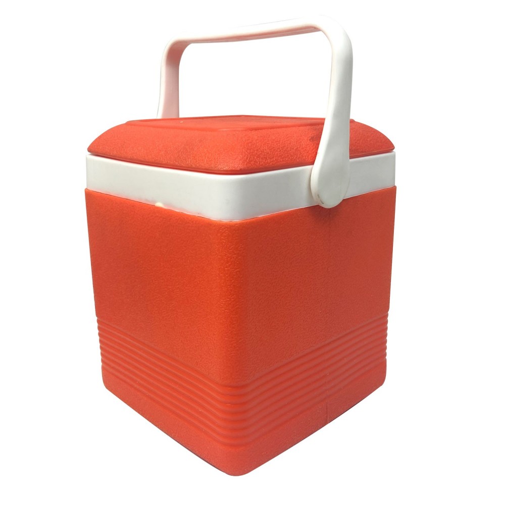 CHILLEX 265215 Frigo portatile 6.5 lt plastica...