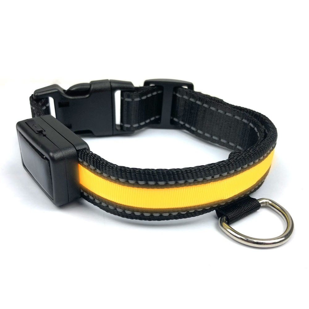 FUBUCA Collare regolabile luminoso a LED per...