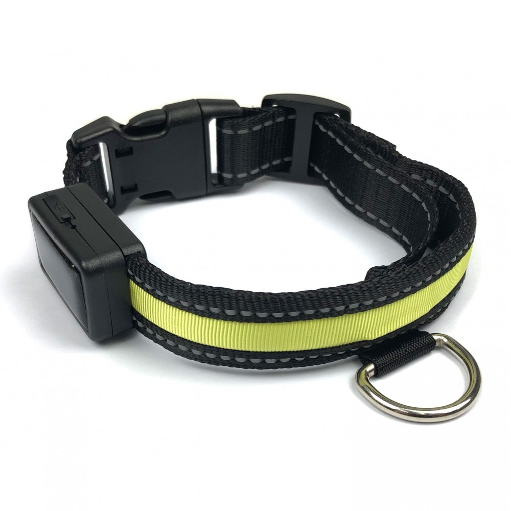 FUBUCA Collare regolabile luminoso a LED per...