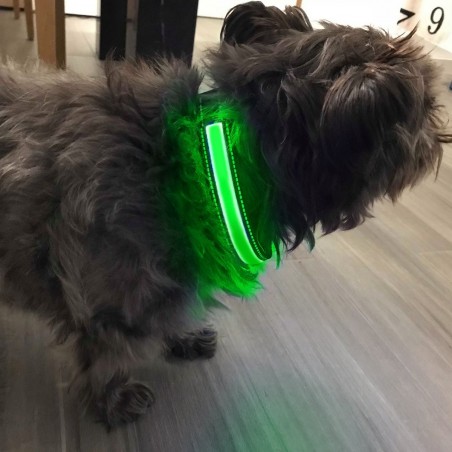FUBUCA Collare regolabile luminoso a LED per cani ricarica solare e usb 3 taglie