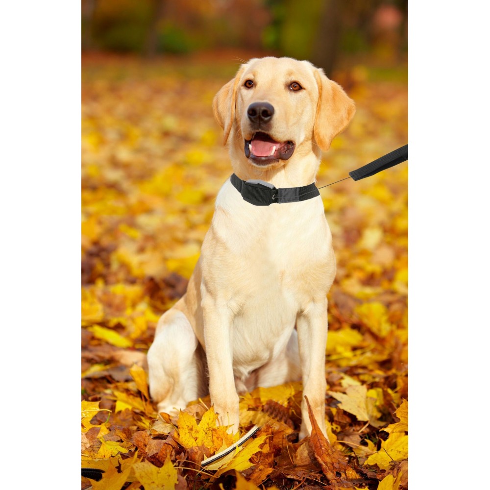 Collare LUCKY LEASH estensibile a corda 166004...