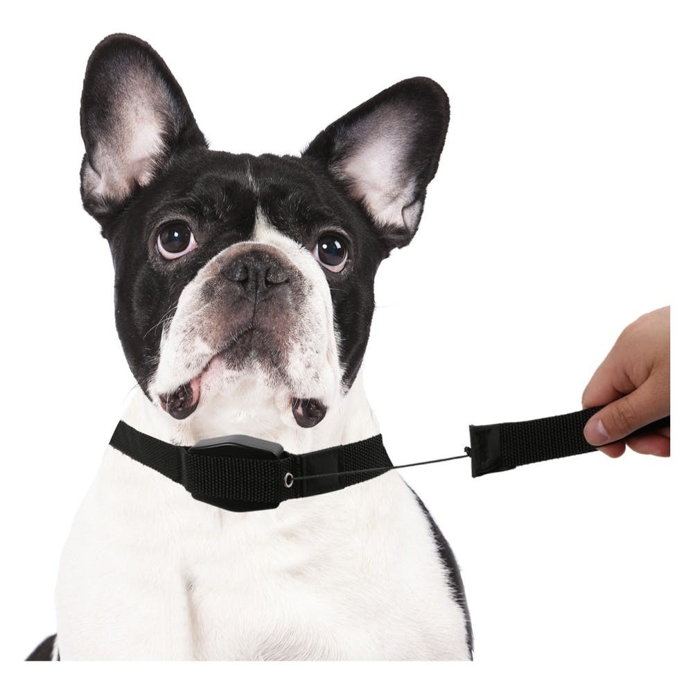 Collare LUCKY LEASH estensibile a corda 166004...