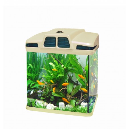 Acquario 6 litri 19x 15 x 27 cm  luci led 4w con filtro vari colori