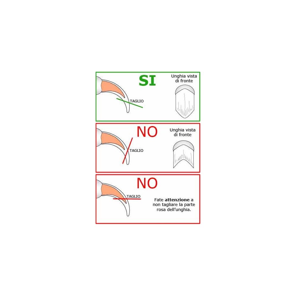 Tronchesina per ughie animali in acciaio inossidabile tagliaunghie per cani ,gatti e cuccioli