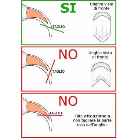 Tronchesina per ughie animali in acciaio inossidabile tagliaunghie per cani ,gatti e cuccioli