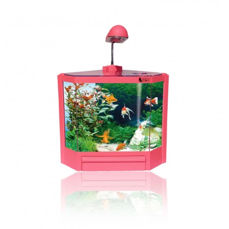 Acquario in plastica rigida 4,5 litri  6 led 2w con filtro vari colori risparmio energetico 28,5 x 18,6 x 24,5 cm 