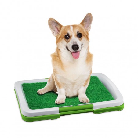 LETTIERA ERBA SINTETICA PER ANIMALI DOMESTICI TOILETTE POTTY PATCH WC LAVABILE 3 STRATI grande