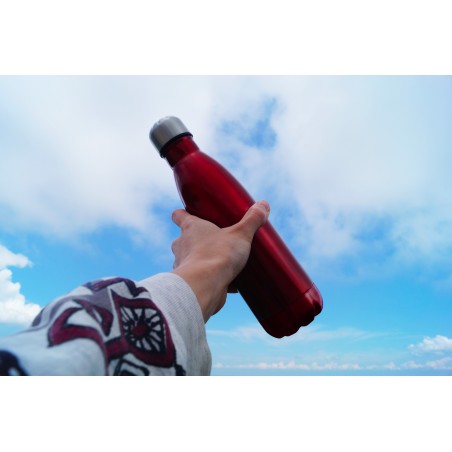 500 mL Borraccia bottiglia termica riutilizzabile in ACCIAIO 186168 Senza BPA