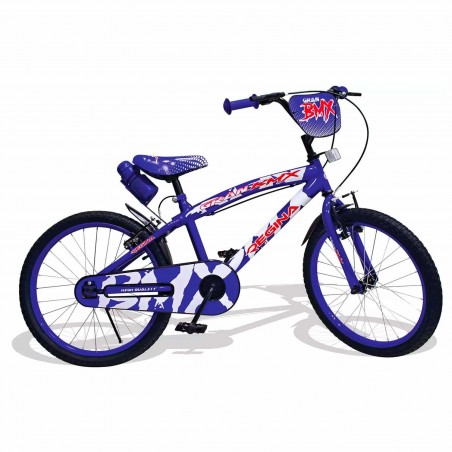 REGINA GVC-5425 Bicicletta per Bambini misura 20 con 2 Freni 3 colori