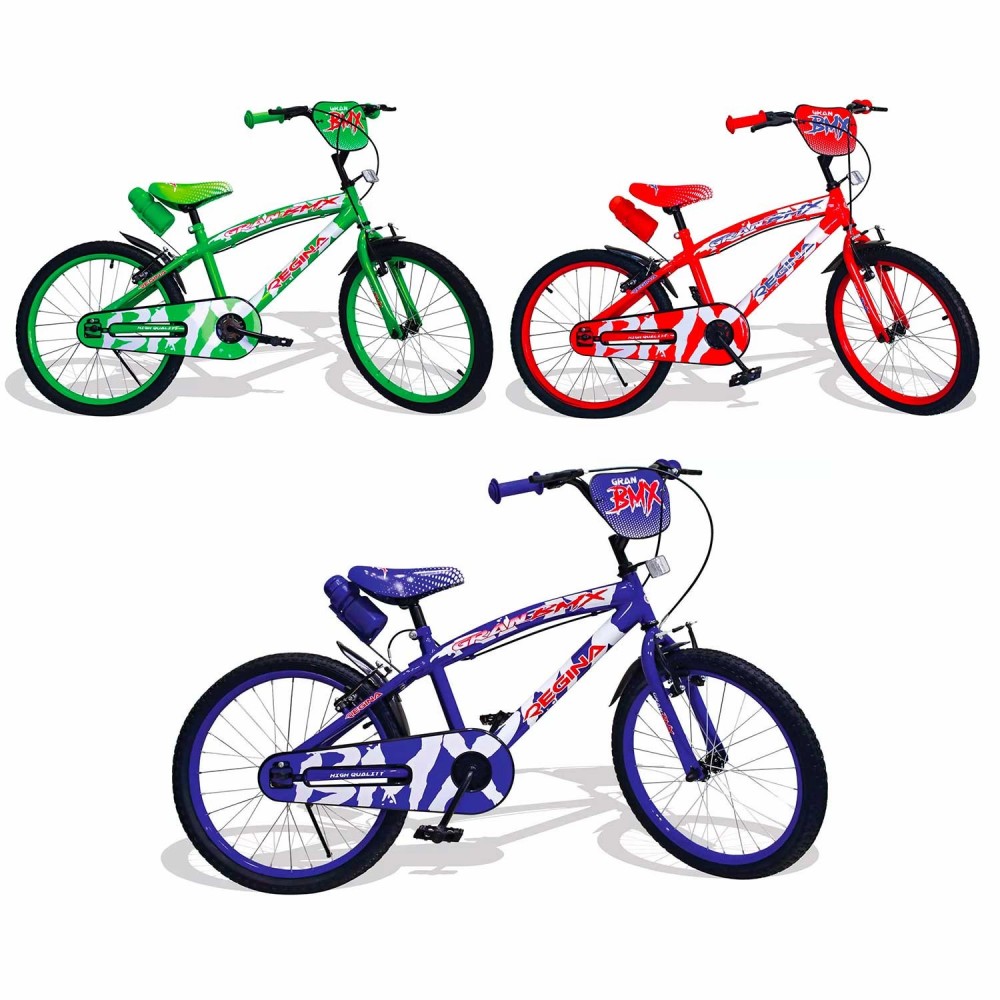 REGINA GVC-5425 Bicicletta per Bambini misura 20 con 2 Freni 3 colori