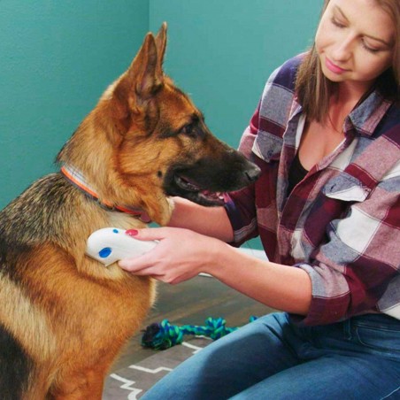 Flea Killer Pettine elettrico per eliminare pulci e parassiti da cani e gatti