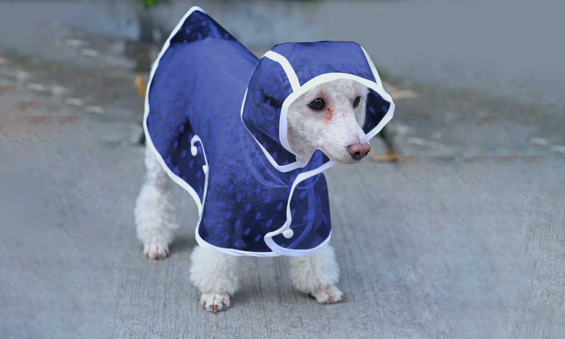 Impermeabile per cani e gatti taglia media 4494 con cappuccio antipioggia BLU Taglia M MEDIA WAVE store ® Impermeabile per cani e gatti taglia media 4494 con cappuccio antipioggia BLU Taglia M MEDIA WAVE store ®