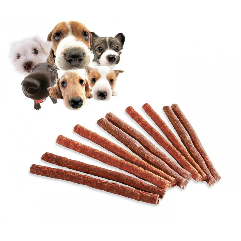 Bastoncini stick di carne essiccata per cani deliziosi snacks premio per animali confezione da 10 sticks