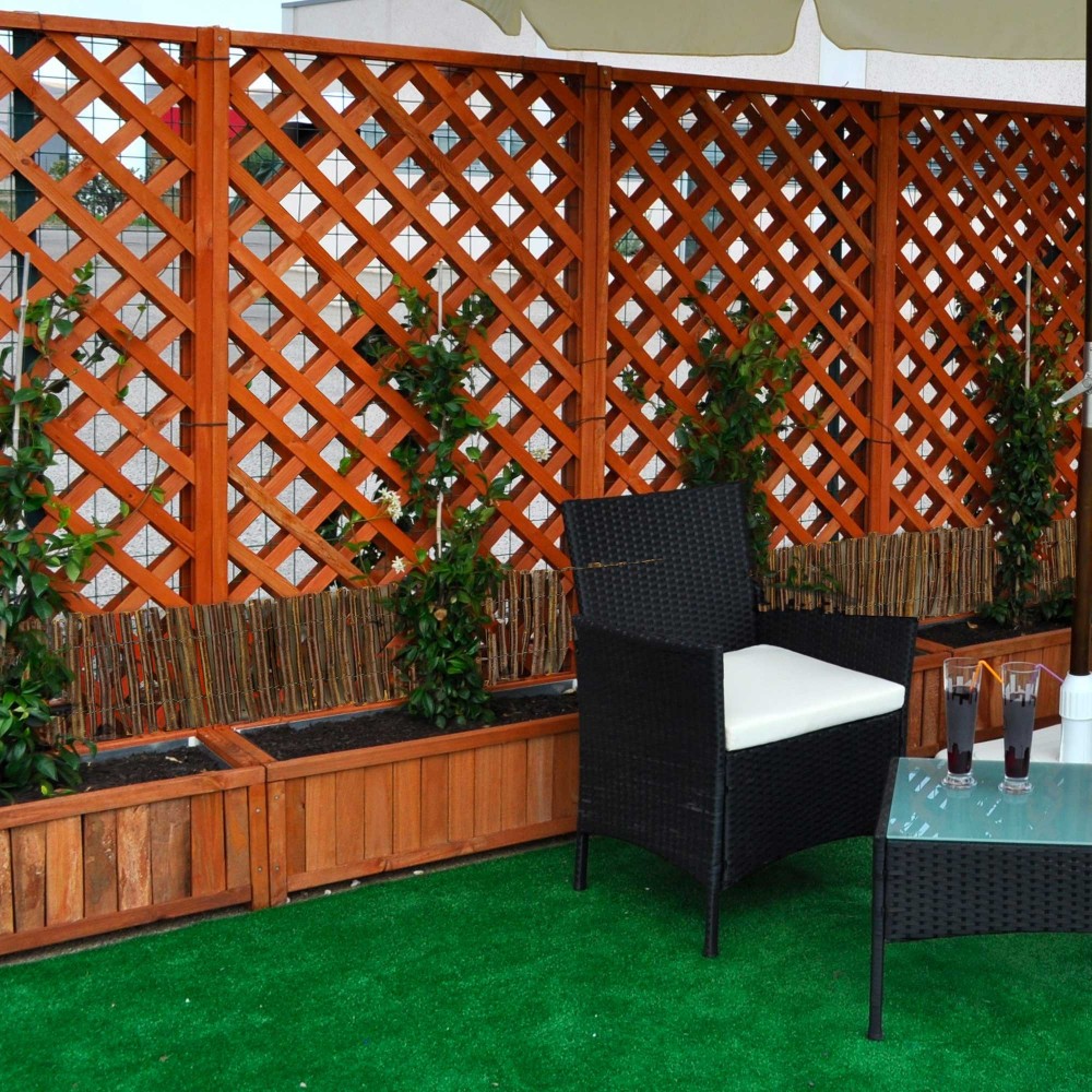 Arella felce scura perimetrale 502495...