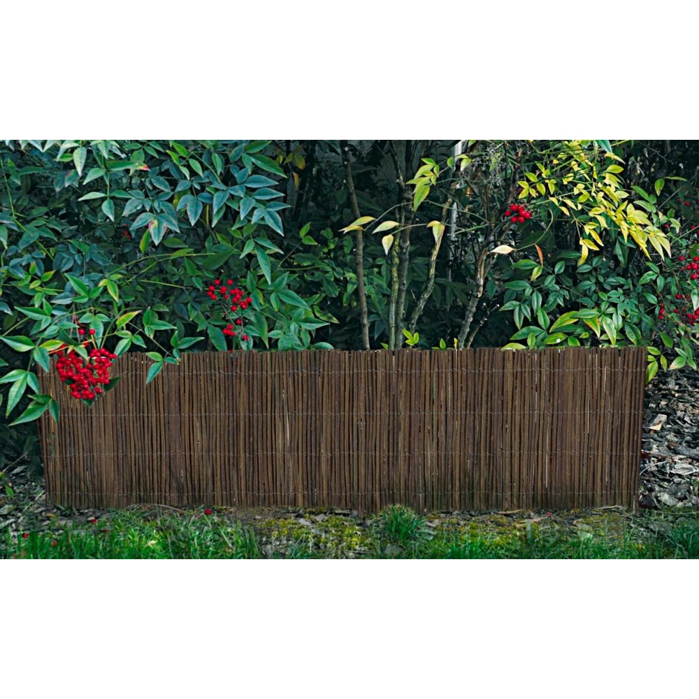 Arella felce scura perimetrale 502488...