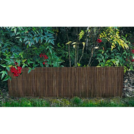 Arella felce scura perimetrale 502488 decorativa ombreggiante 200x40 cm