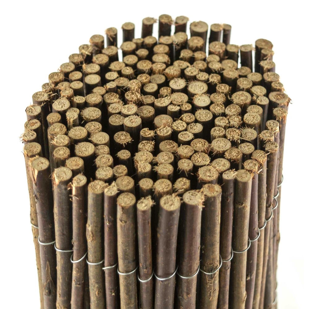 Arella felce scura perimetrale 502488...