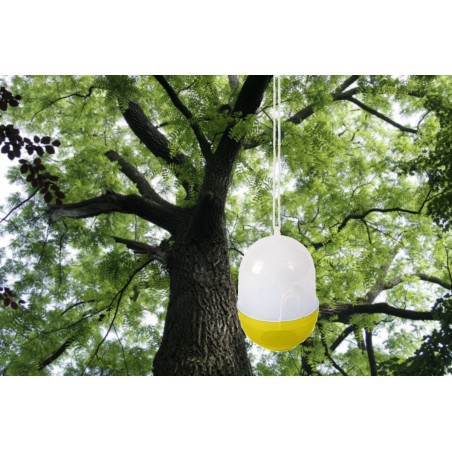 Mini Trappola per insetti 952567 da albero vespe api per luoghi esterni 15 cm