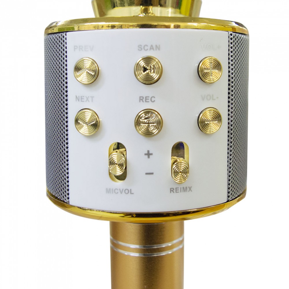 Microfono wireless hifi speaker 812855 registra...