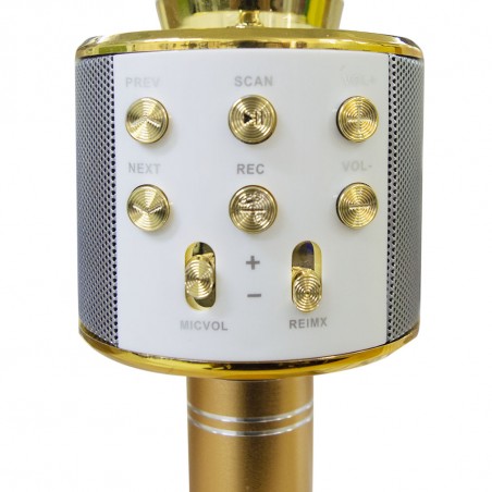 Microfono wireless hifi speaker 812855 registra e ascolta le tue canzoni