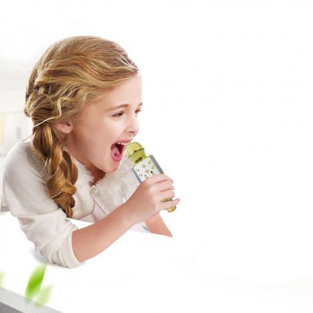 Microfono wireless hifi speaker 812855 registra e ascolta le tue canzoni