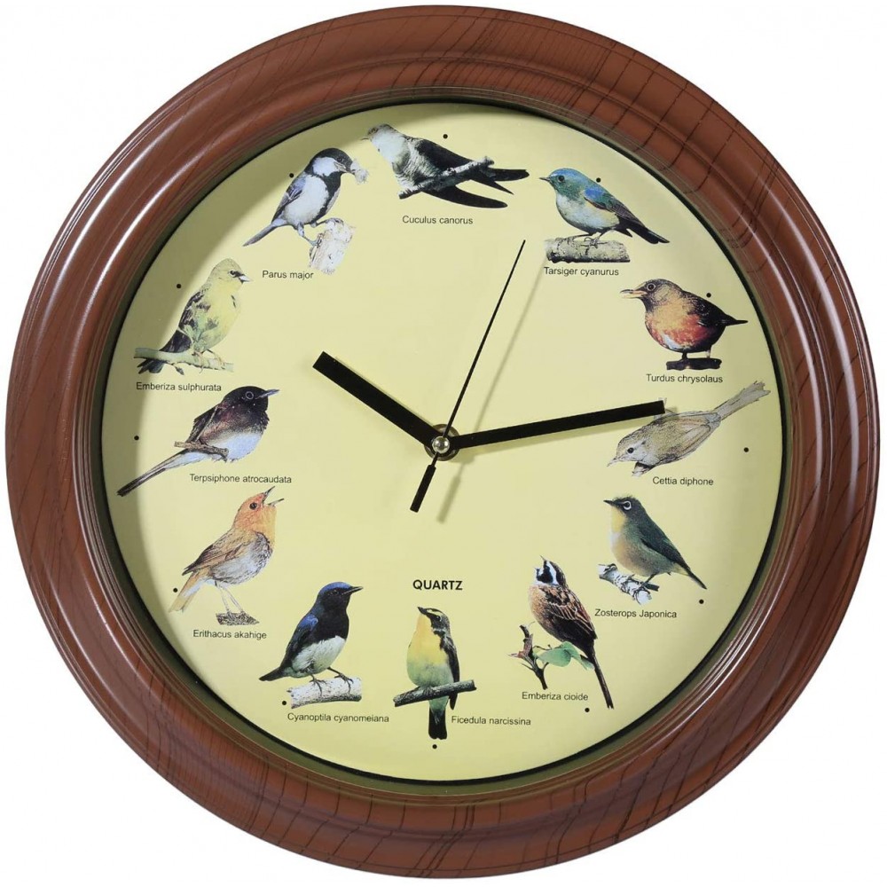 Orologio da parete tondo 793151 con cinguetto suoni uccelli realistici da 33 cm