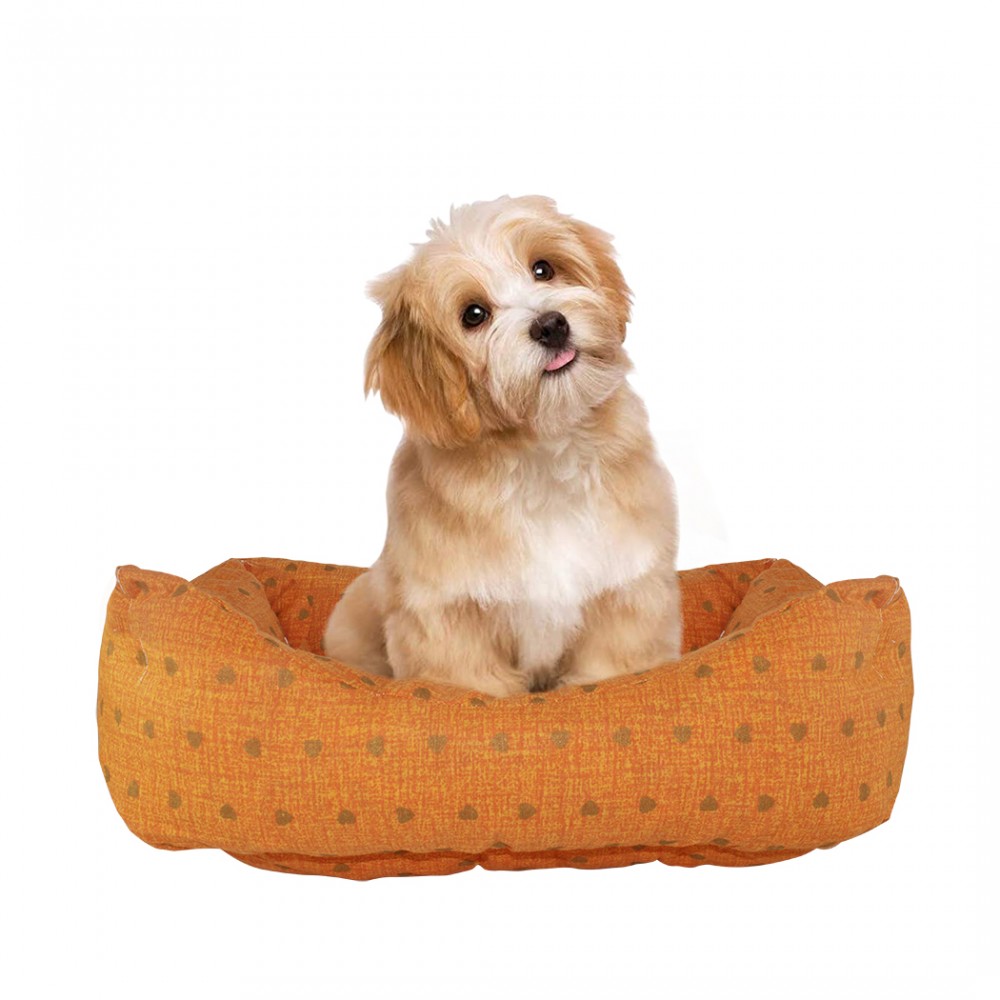 Cuccia morbido cuscino imbottito 551493 per...