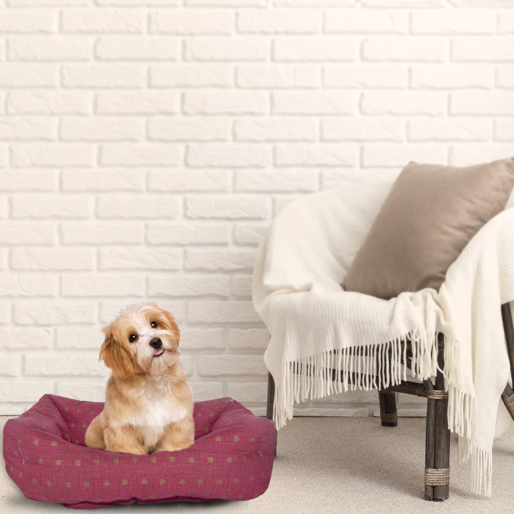 Cuccia morbido cuscino imbottito 551493 per...